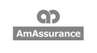 Am Assurance Am Assurance