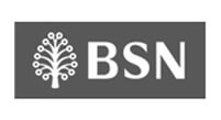 BSN BSN